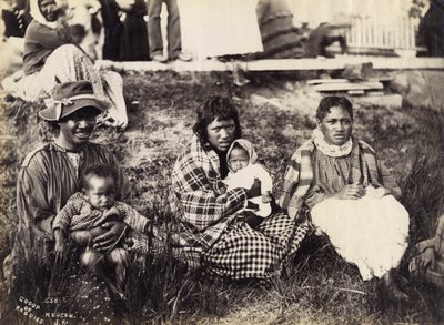 Gruppe von Maoris, Mercer, um 1895 (Albuminabzug) von Josiah Martin